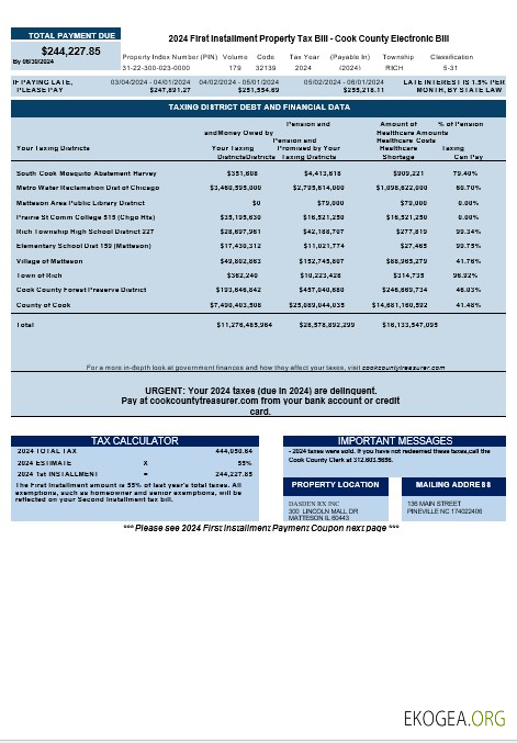 USA Cook Country Electronic Bill téléchargement de facture de services publics exemple Word et PDF